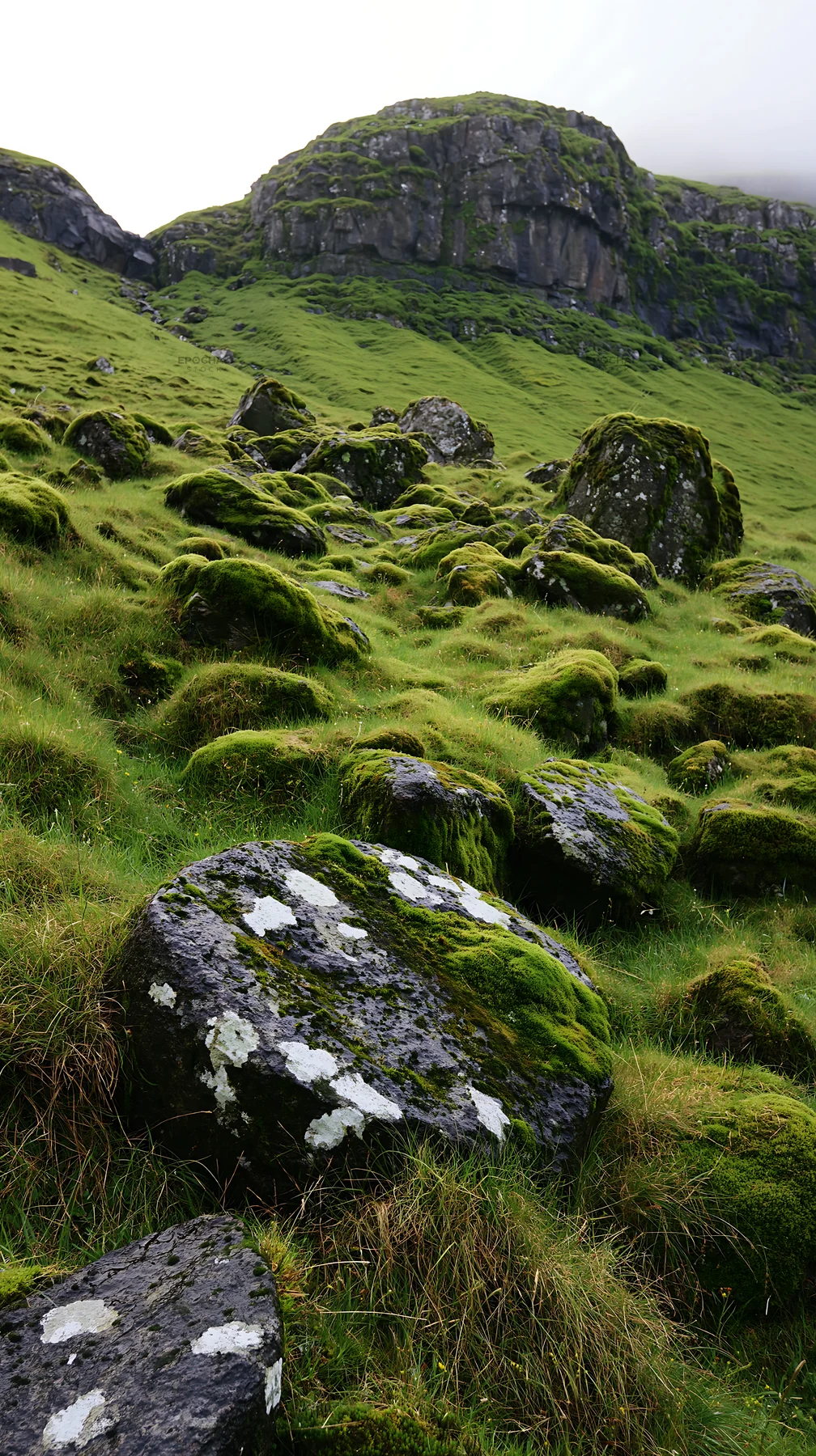Mossy boulders in a green meadow with rocky cliffs - AI-generated stock image