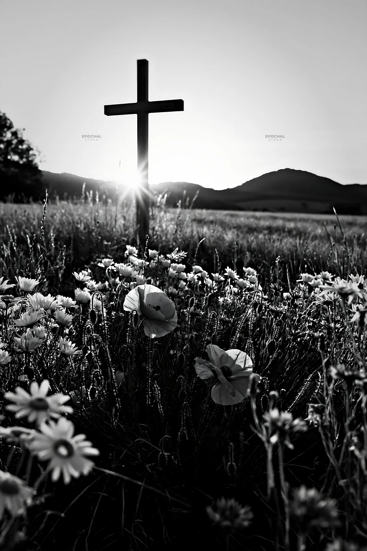 Christian cross in meadow at sunrise with flowers - AI-generated stock image