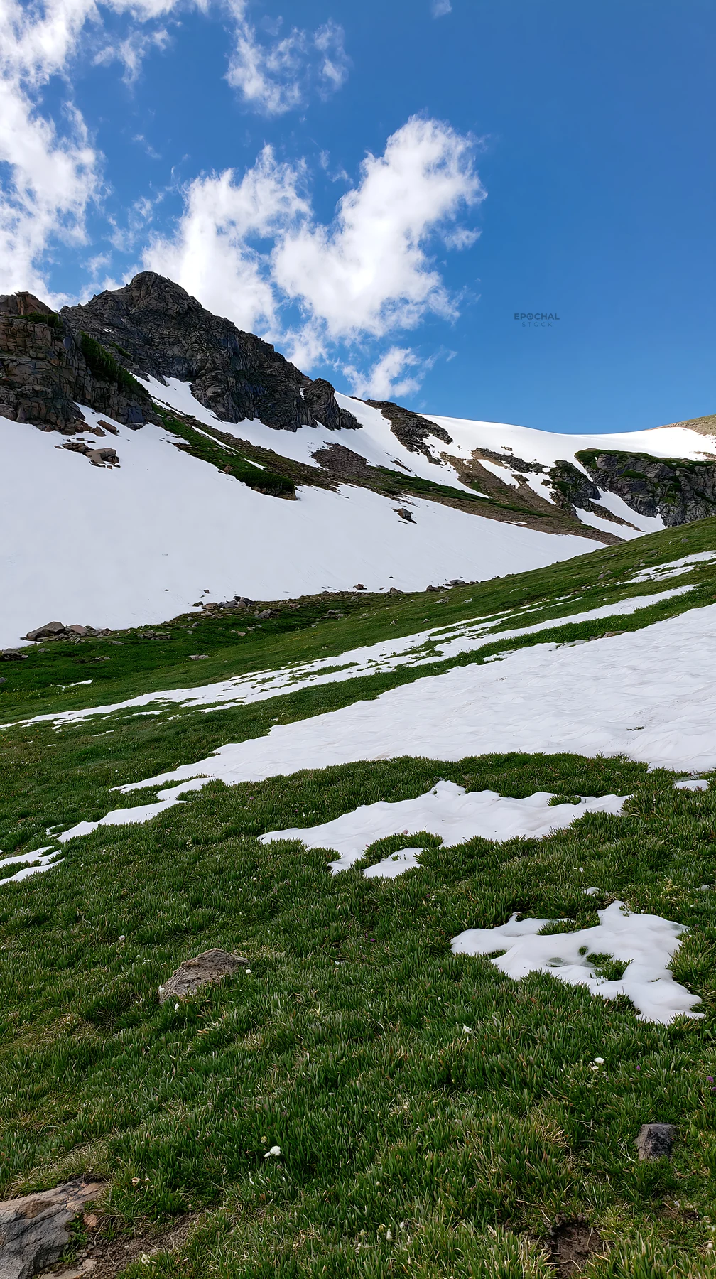 Mountain pass meadow with snow and green grass - AI-generated stock image