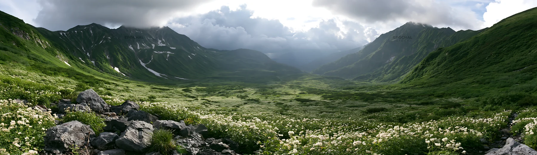 Toyama alpine meadow snowmelt rock foreground - AI-generated stock image