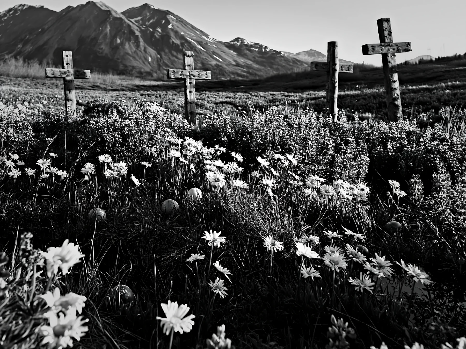 Crosses beside mineral spring meadow in black and white - AI-generated stock image
