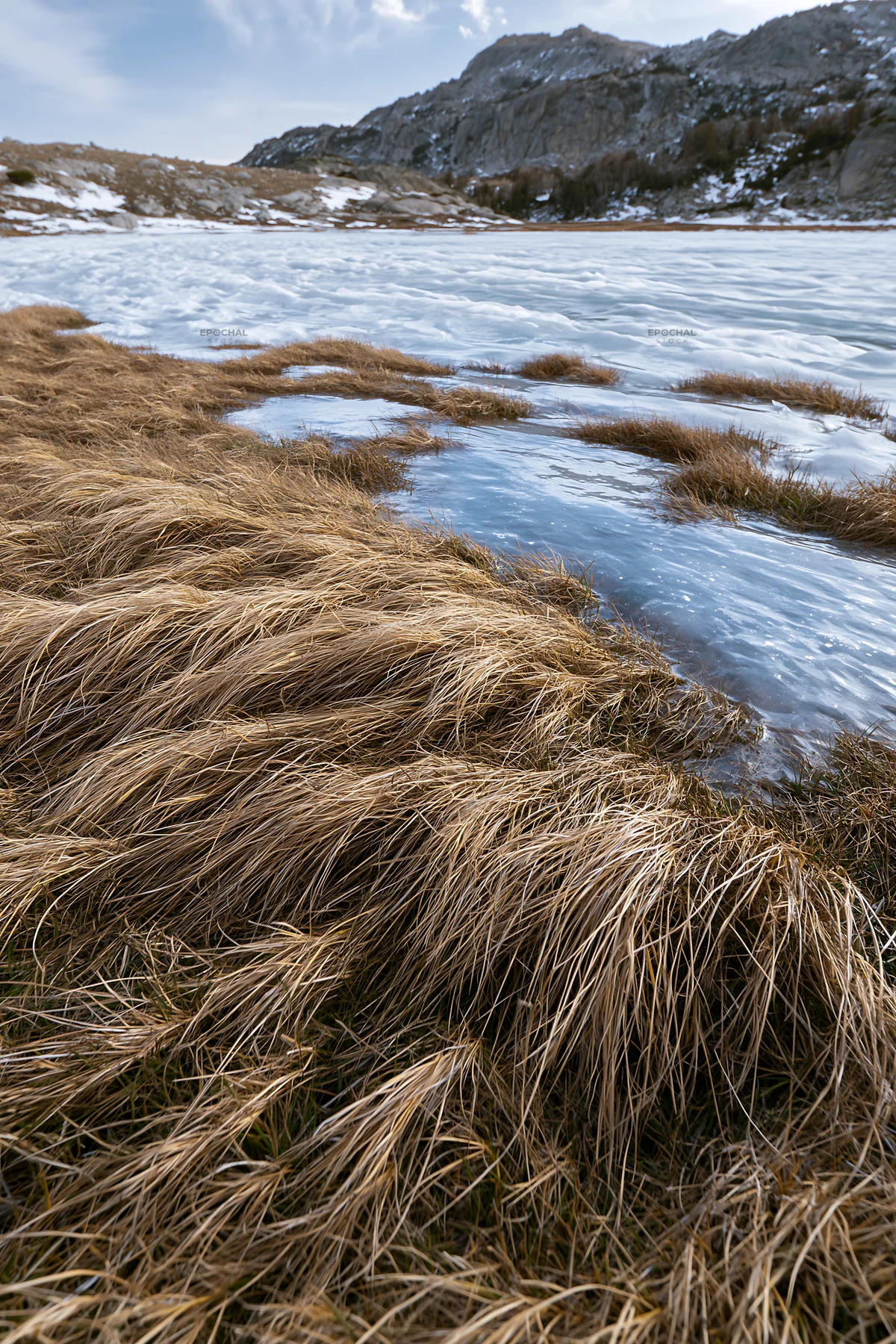 Frozen tarn meadow surrounded by grass and snow - AI-generated stock image