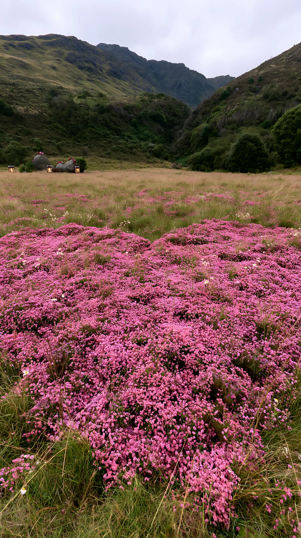 Expansive meadow with pink heather and decorative wreaths - AI-generated stock image