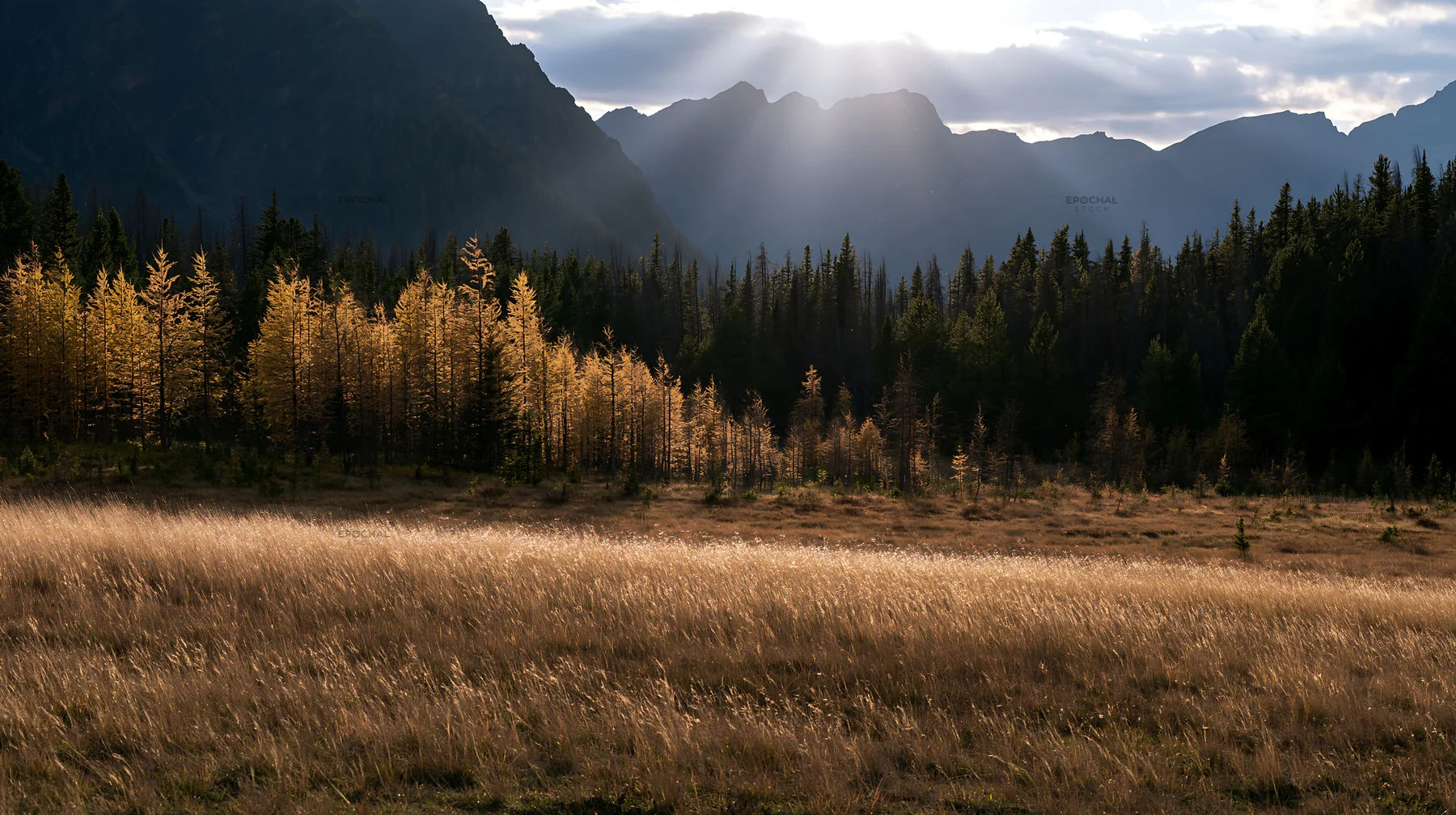 Sunshine rays over meadows in Banff National Park - AI-generated stock image