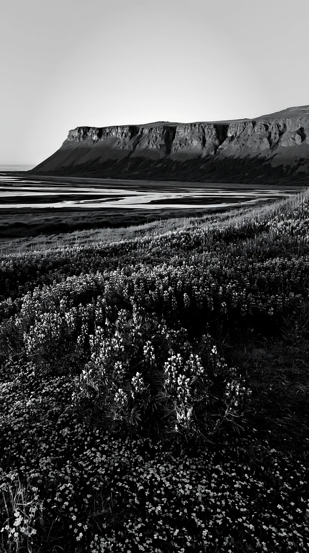 Regenerative meadow with cliffs and water in black and white - AI-generated stock image