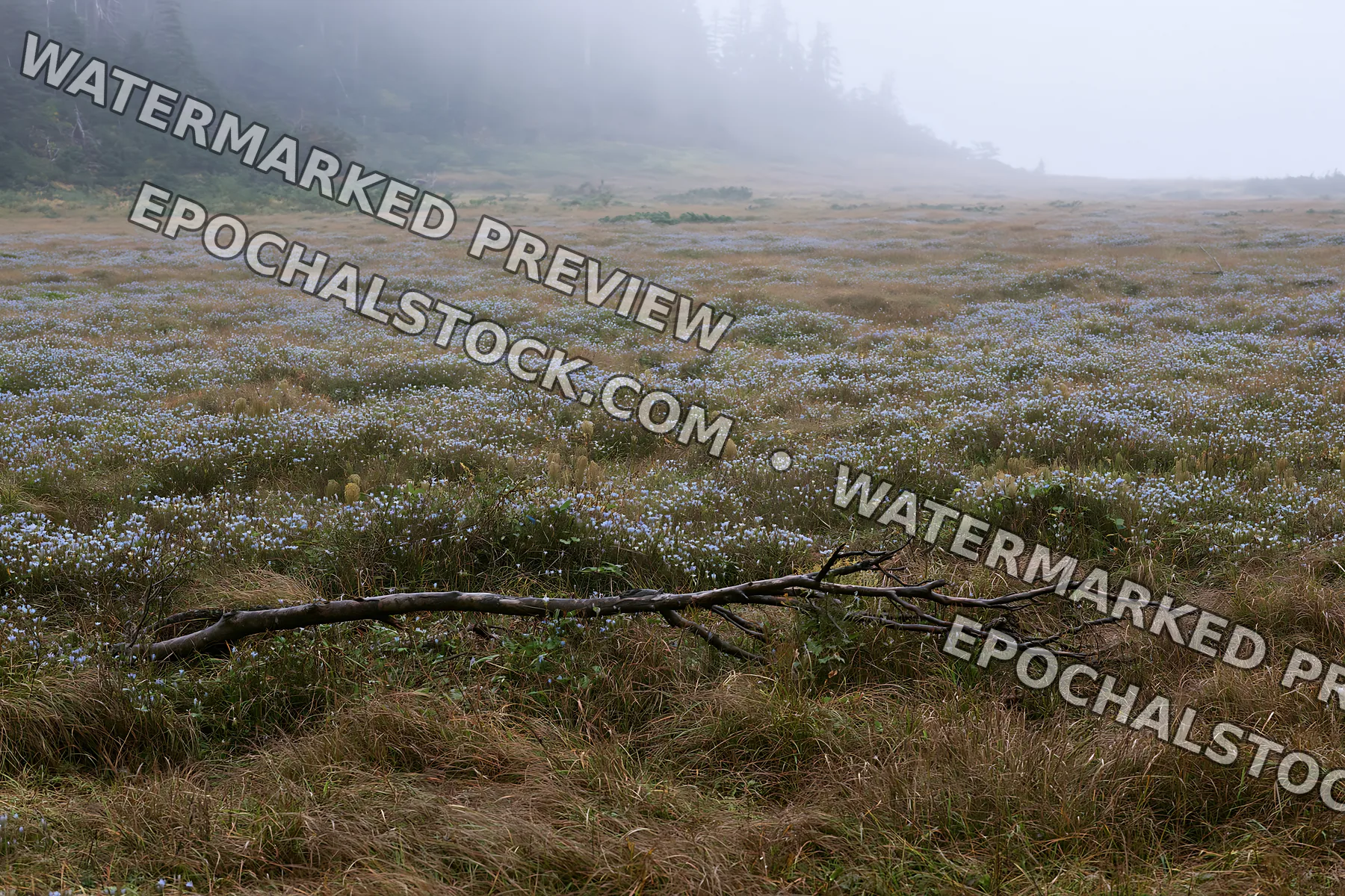 Yamagata rewilded meadow fallen branch in grassy landscape - AI-generated stock image