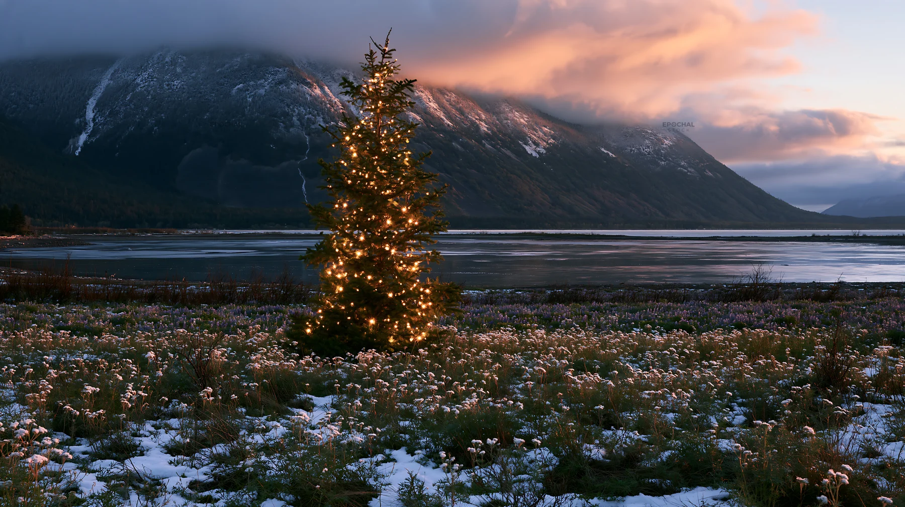 Christmas tree with lights in snowy mountain valley meadow - AI-generated stock image