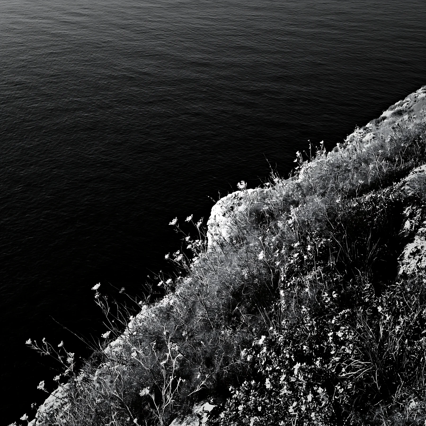 Cliffs overlooking a coastal meadow at sunset - AI-generated stock image