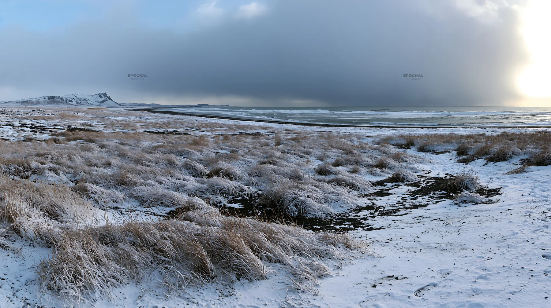 Snowy beach meadow with grass in winter landscape - AI-generated stock image