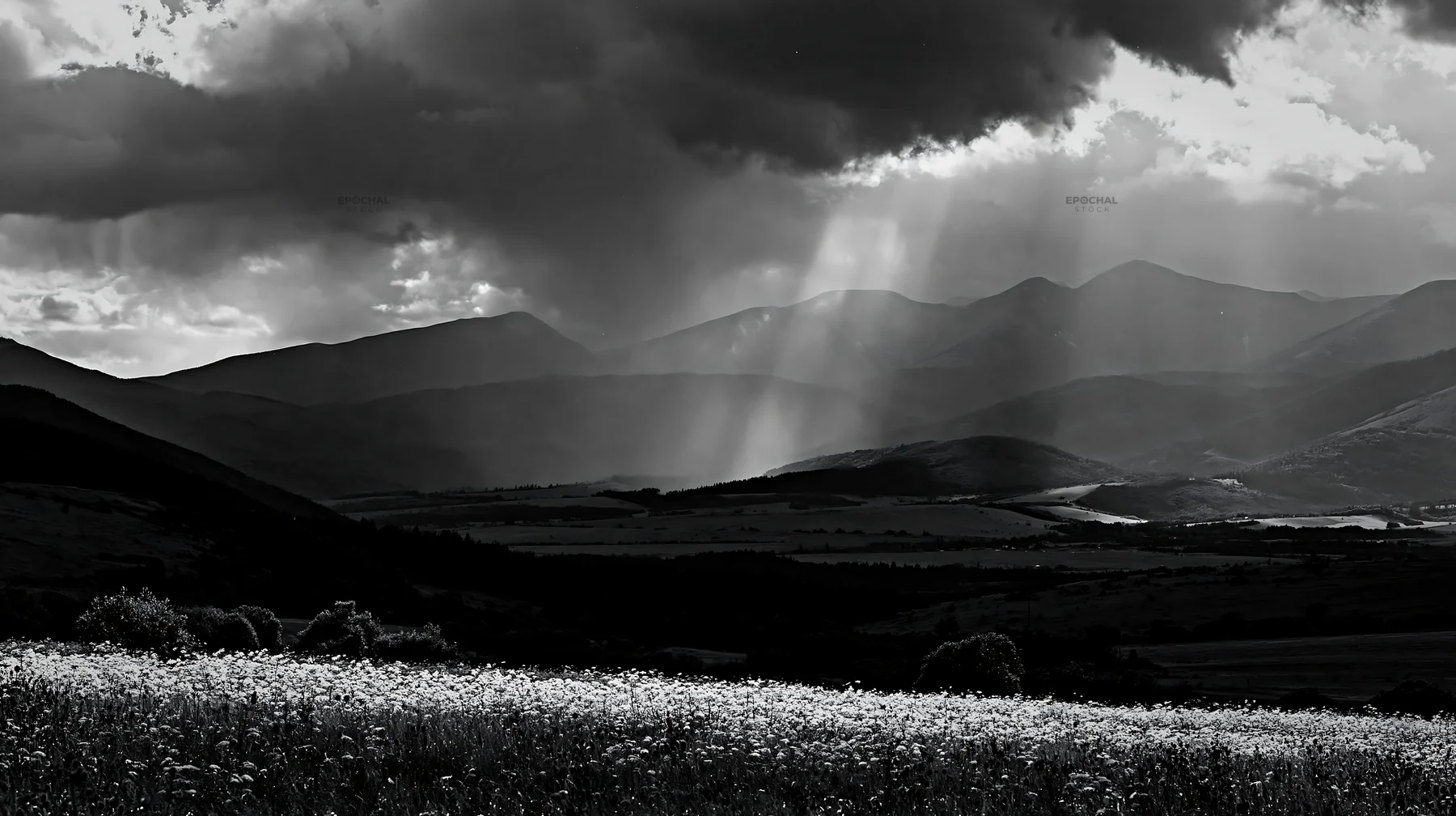 Slovak meadow in Carpathian valley under dark clouds - AI-generated stock image