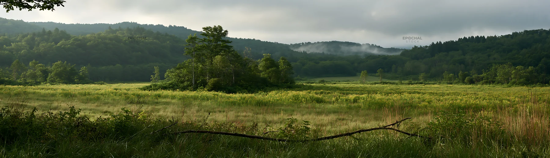 Yamagata rewilded meadow with fallen branch in the foreground - AI-generated stock image