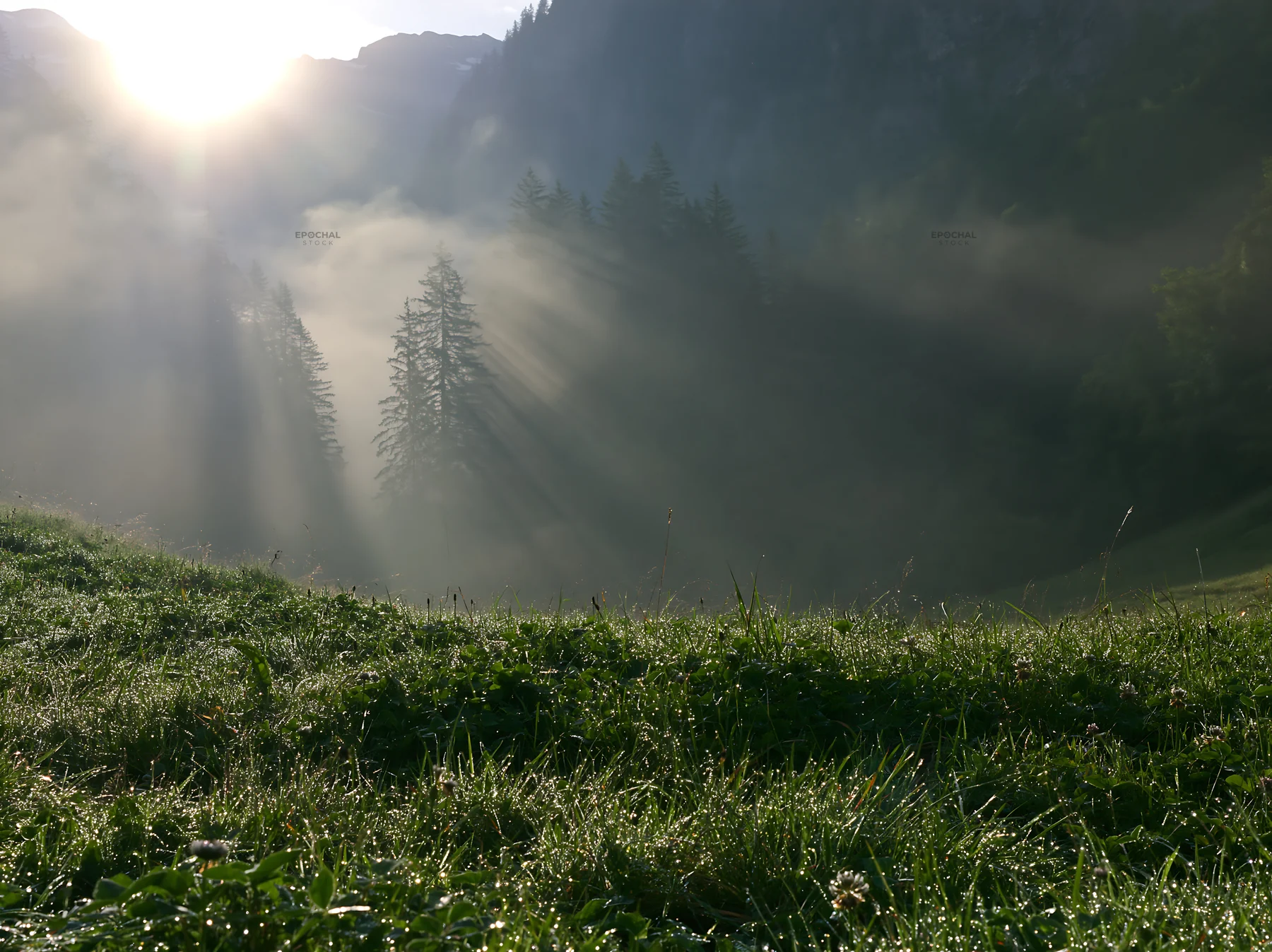 Light rays over meadow in Lauterbrunnen Valley - AI-generated stock image
