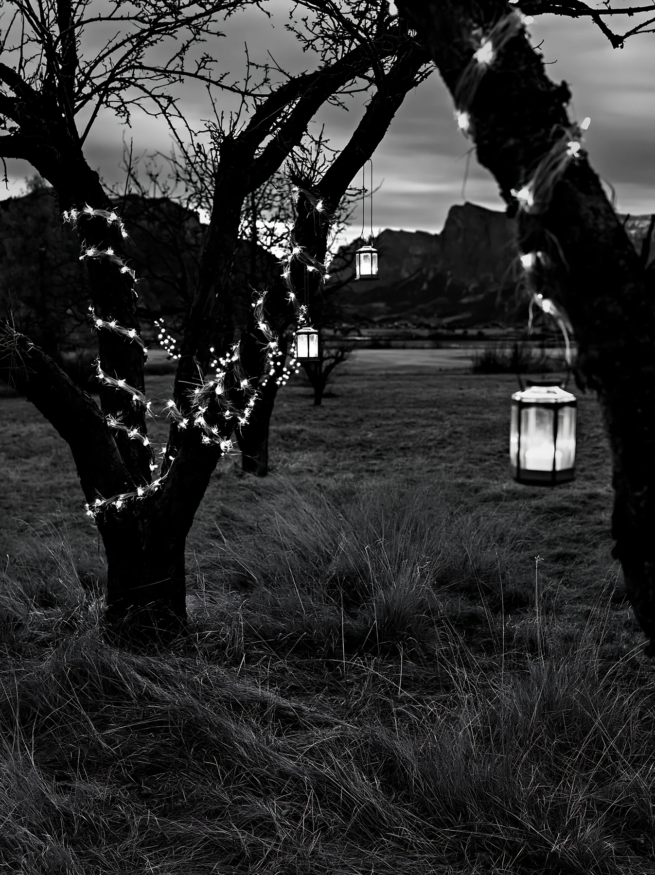 Winter evening at apple tree meadow with garlands and lanterns - AI-generated stock image