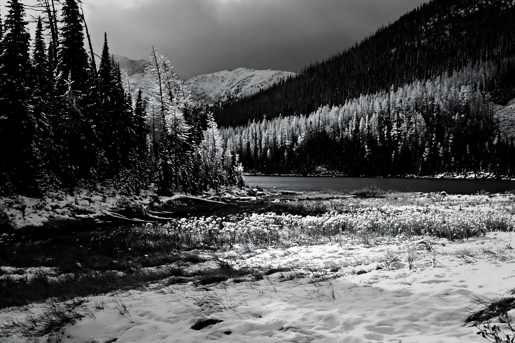 Lakeside meadow after snowfall in a mountain landscape - AI-generated stock image