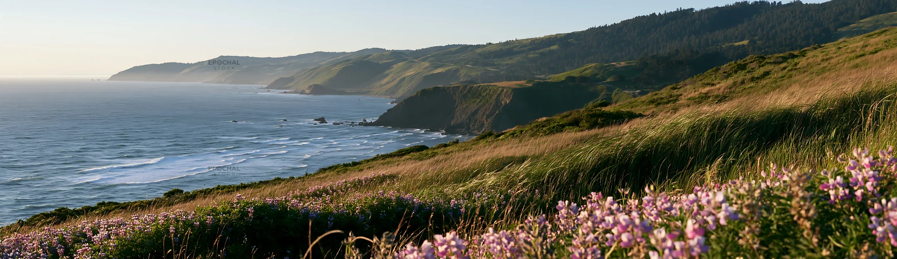Clifftop meadow with ocean view and blooming flowers - AI-generated stock image