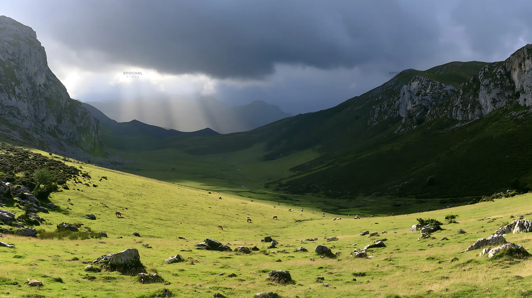 Sunrays over Picos de Europa meadow with grazing sheep - AI-generated stock image