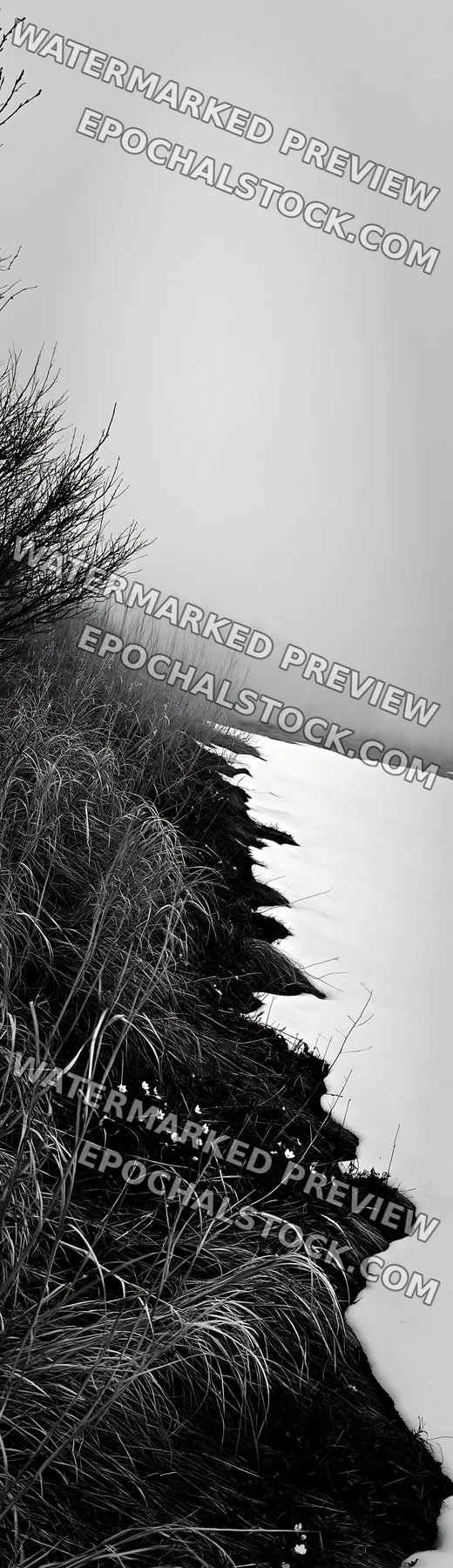 Black and white akita snowmelt meadow with silver grasses in foggy setting - AI-generated stock image