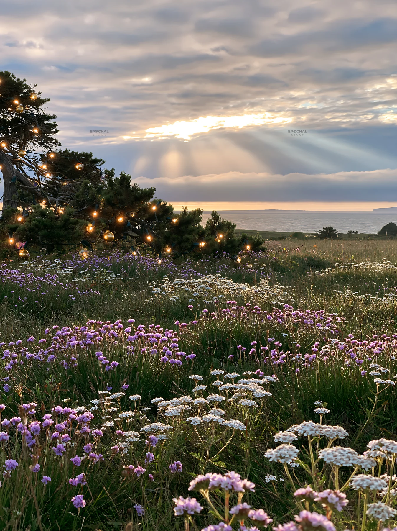 Meadow with Christmas lights and rays beneath cloudy skies - AI-generated stock image
