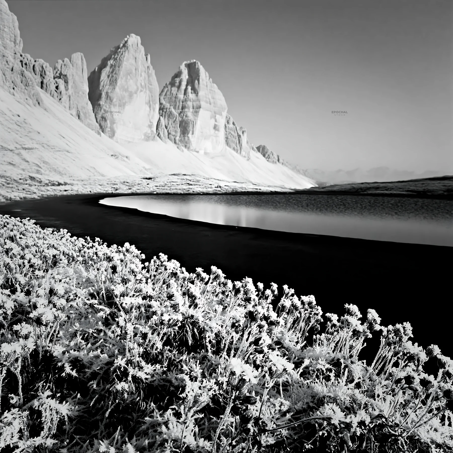 Frozen tarn meadow with mountains in the background - AI-generated stock image