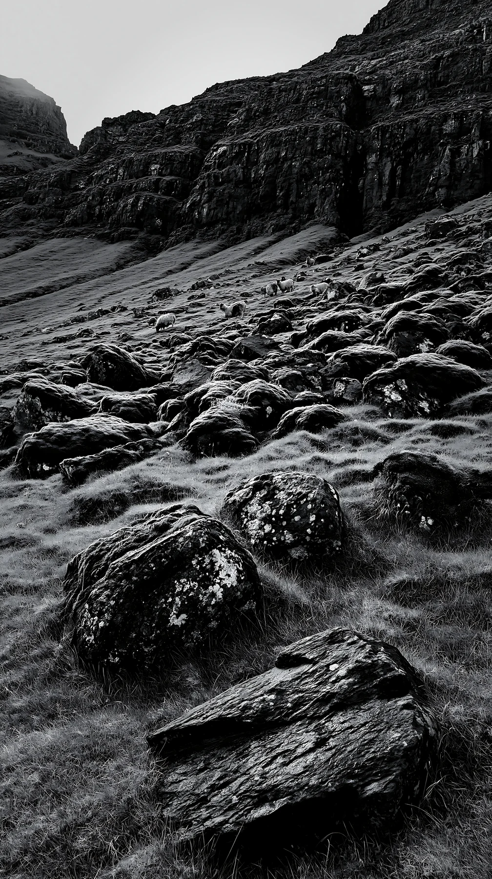 Black and white mossy boulder meadow with rocks and green grass - AI-generated stock image