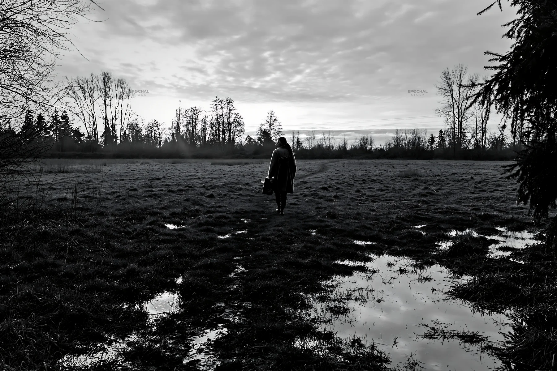 Walking through a winter meadow at dusk - AI-generated stock image