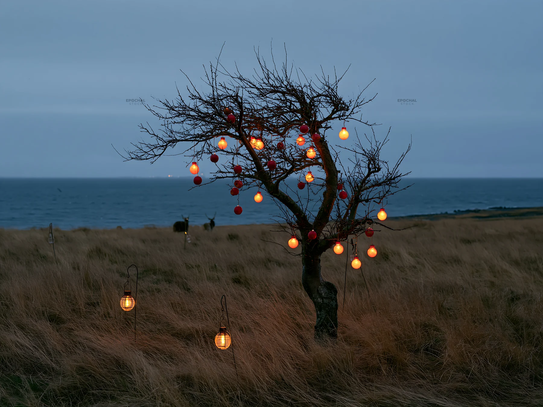 Christmas apple tree meadow with lights near the sea - AI-generated stock image