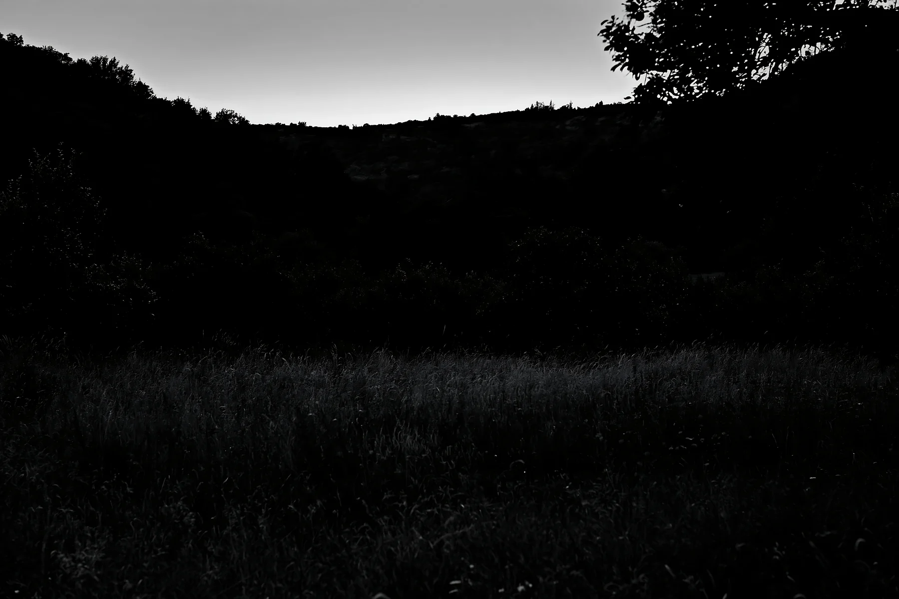 Apple meadow at dusk in a valley landscape - AI-generated stock image