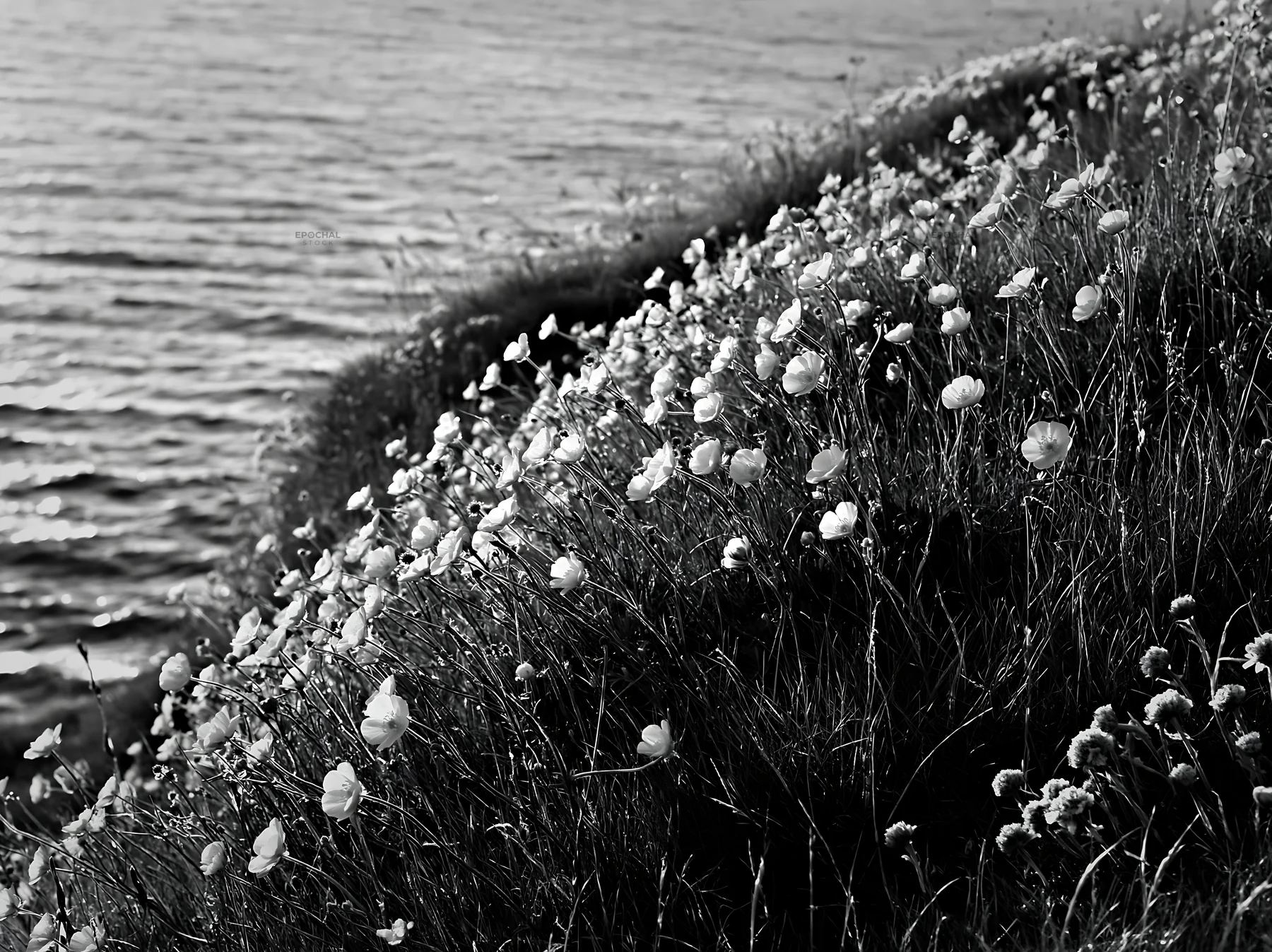 Buttercup meadow along the water's edge - AI-generated stock image