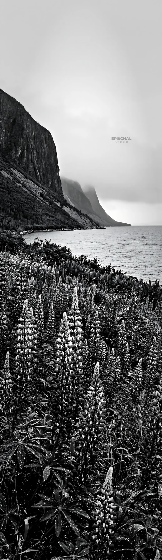 Colorful lupine meadow by the ocean with cliffs in background - AI-generated stock image