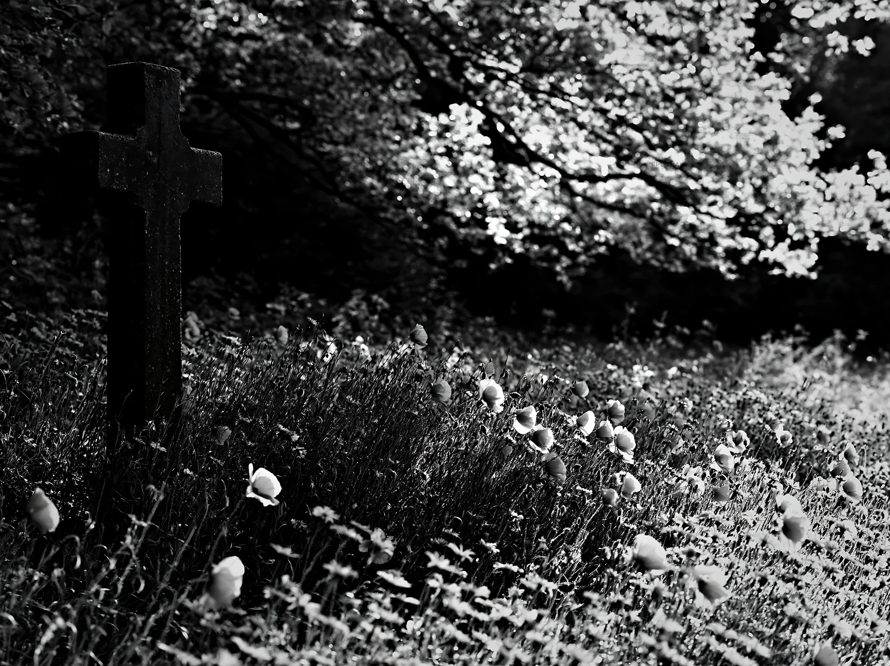 Stone Christian cross in snowy meadow - AI-generated stock image