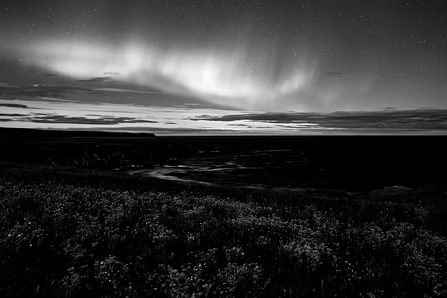 Aurora lights above meadow along the coast at night - AI-generated stock image