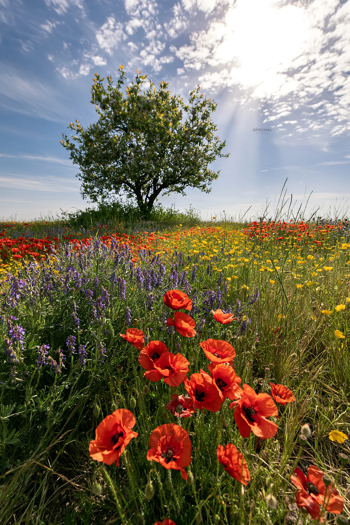 First leaves on Easter tree surrounded by colorful flowers - AI-generated stock image