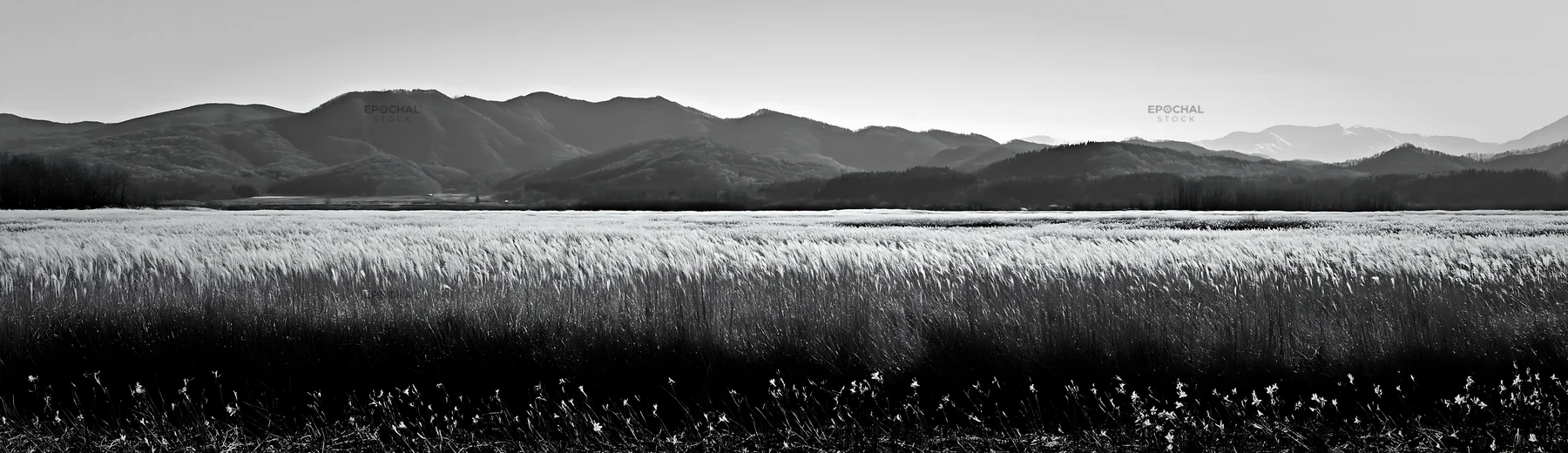 Black and white akita snowmelt meadow with silver grasses under mountain range - AI-generated stock image