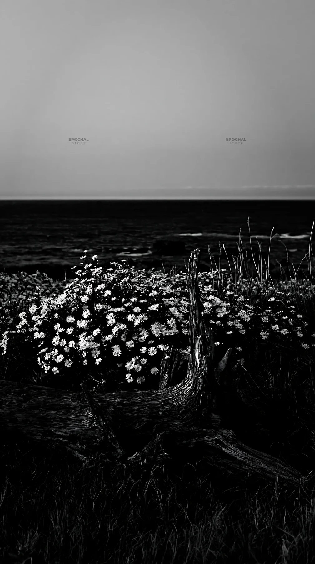 Nagasaki coastal meadow with driftwood and flowers - AI-generated stock image
