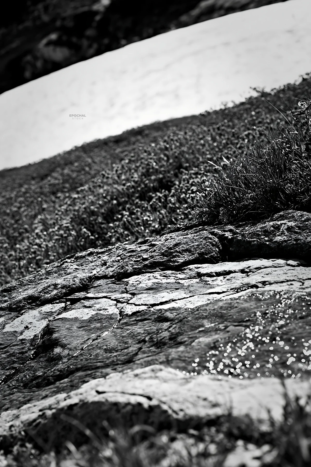 Snowmelt water on rock in Toyama alpine meadow - AI-generated stock image