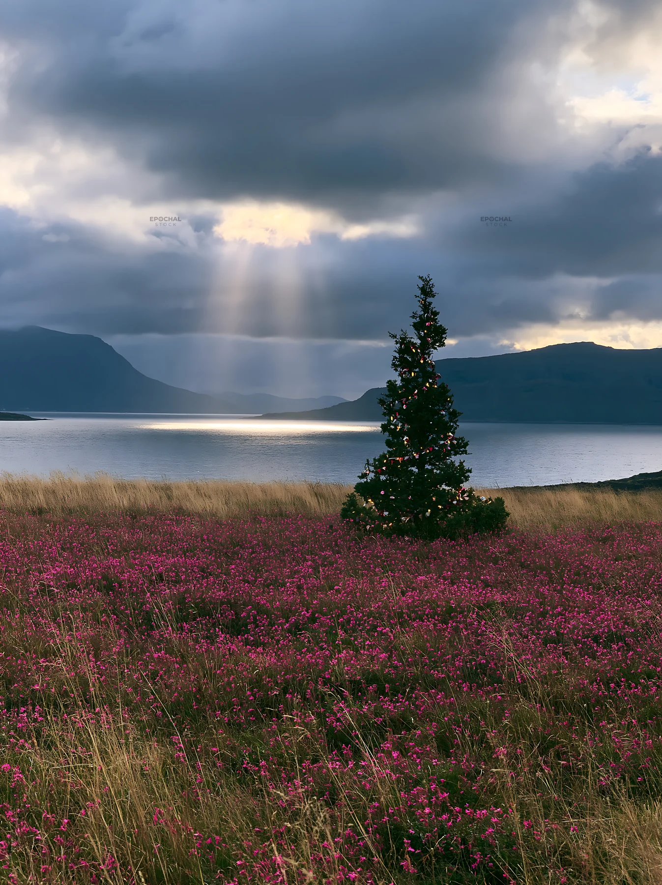 Christmas decorations in meadow under clouds and sunbeams - AI-generated stock image