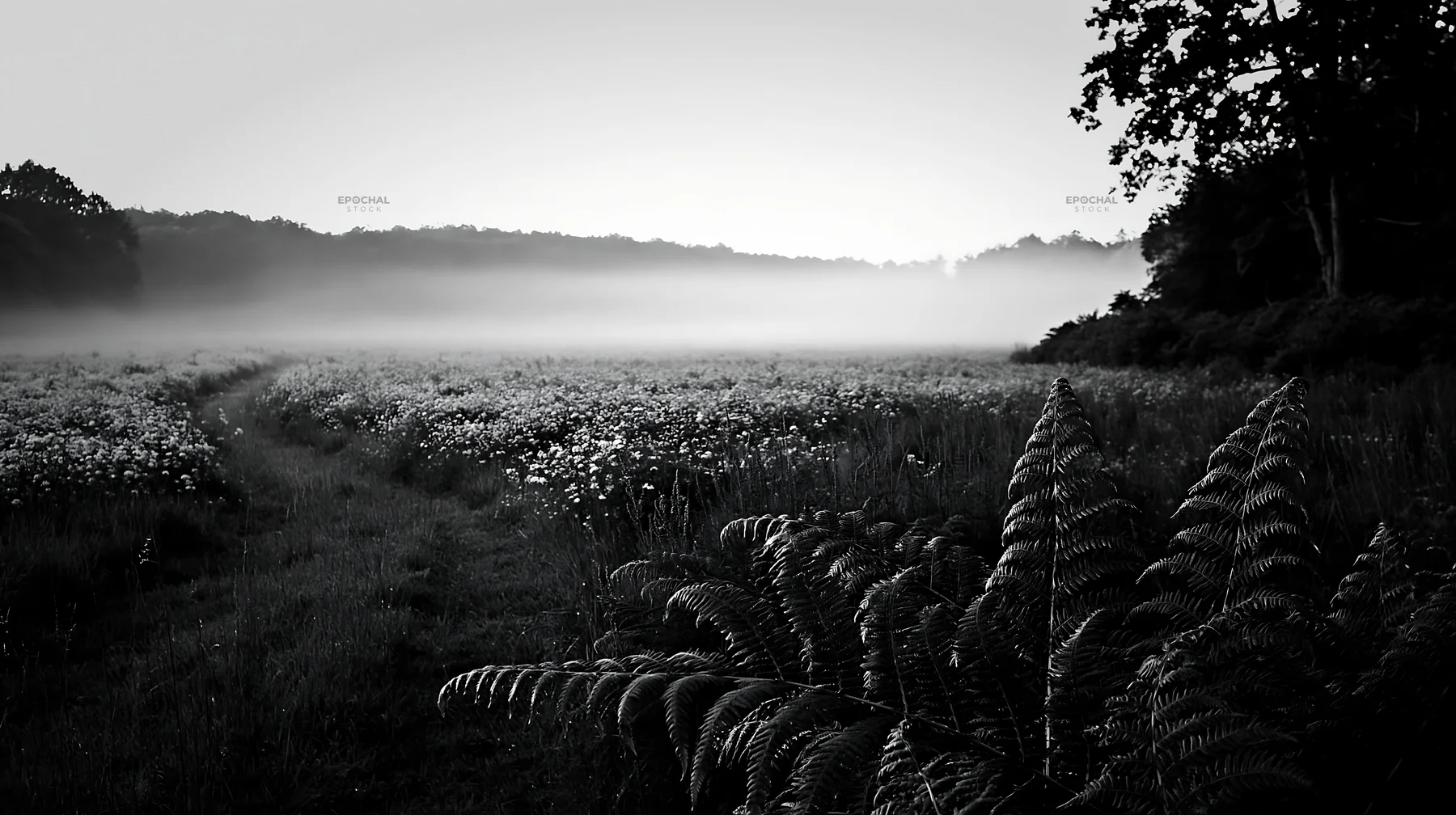 Black and white nara summer meadow with fern foreground and misty landscape - AI-generated stock image