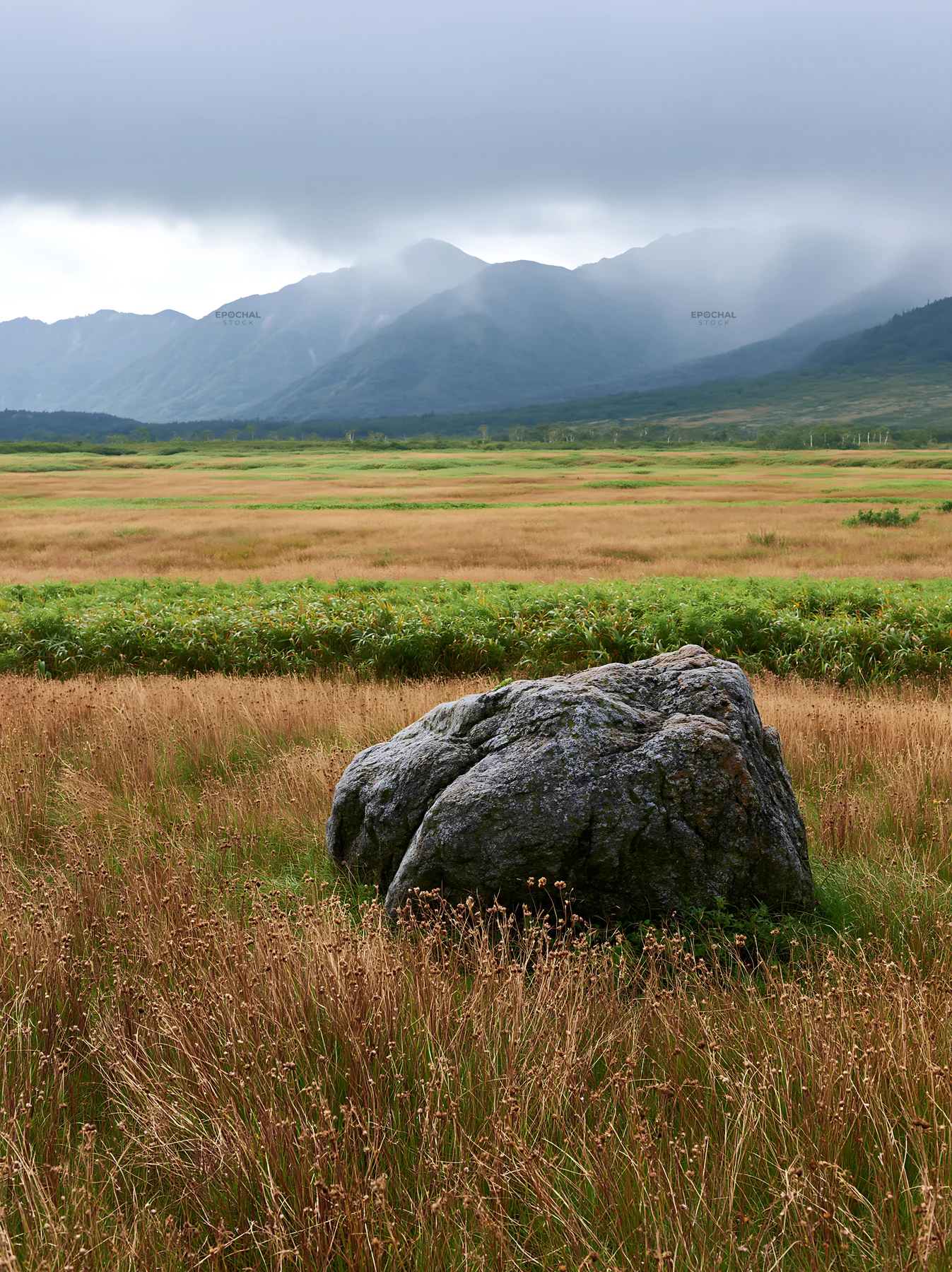 Aomori climate resilient meadow with boulder in green landscape - AI-generated stock image