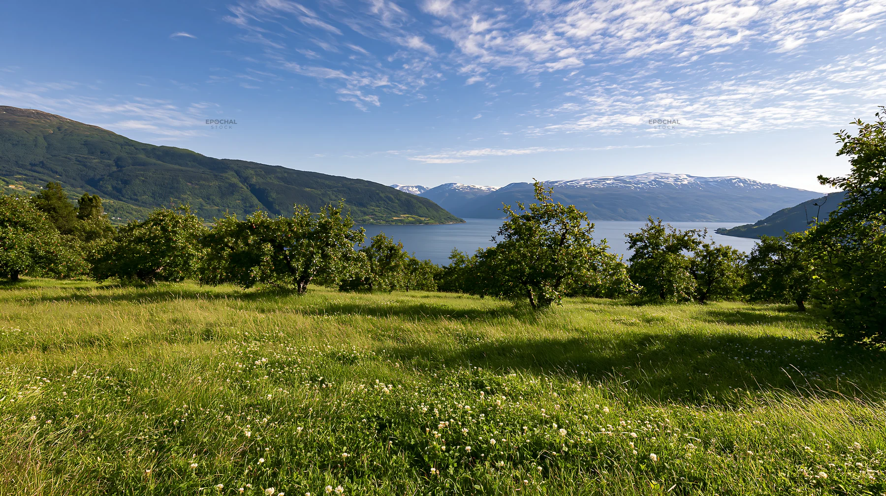 Clover apple meadow with mountains and water under blue sky - AI-generated stock image