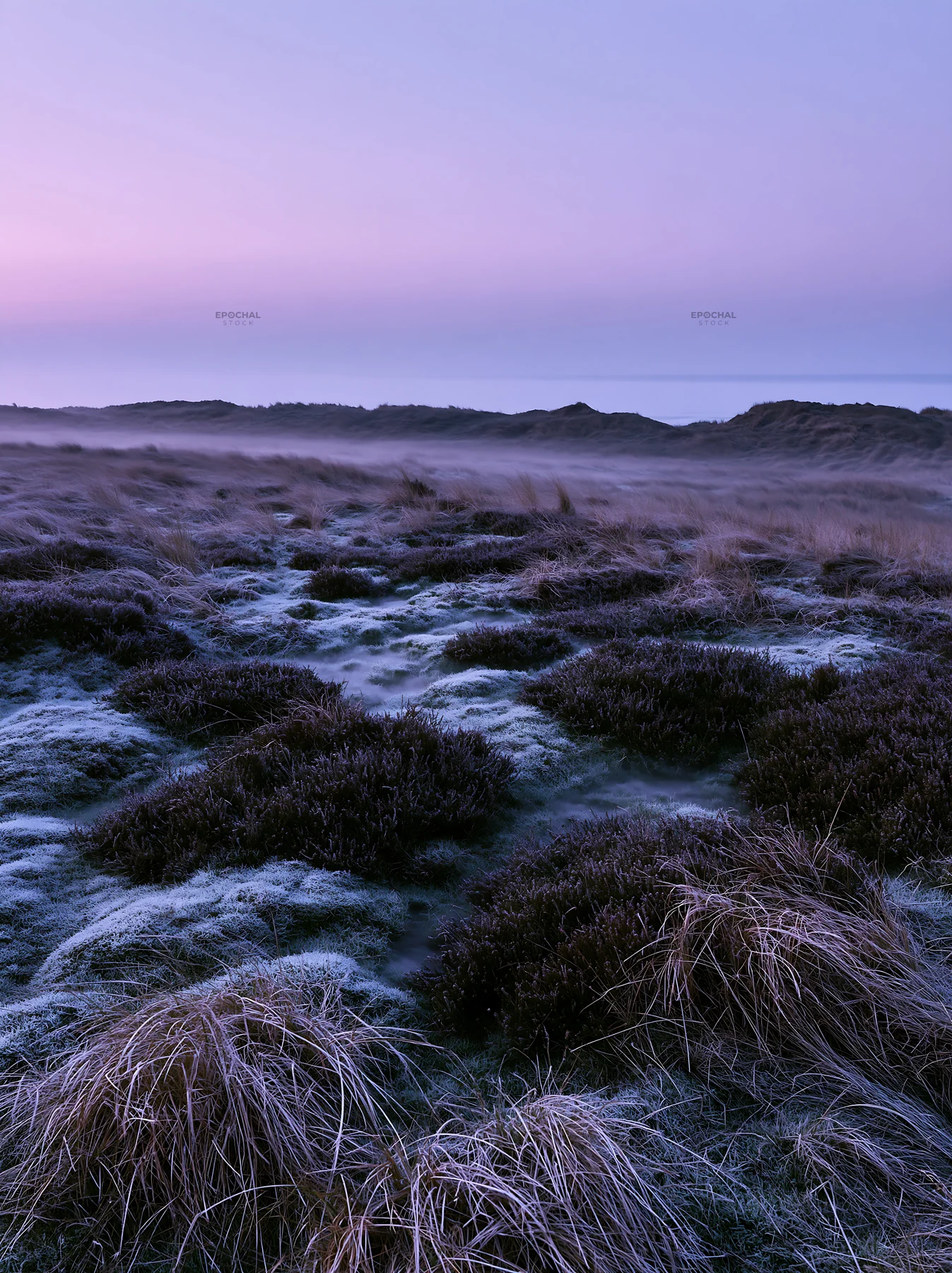 Frosty coastal meadow during early morning light - AI-generated stock image