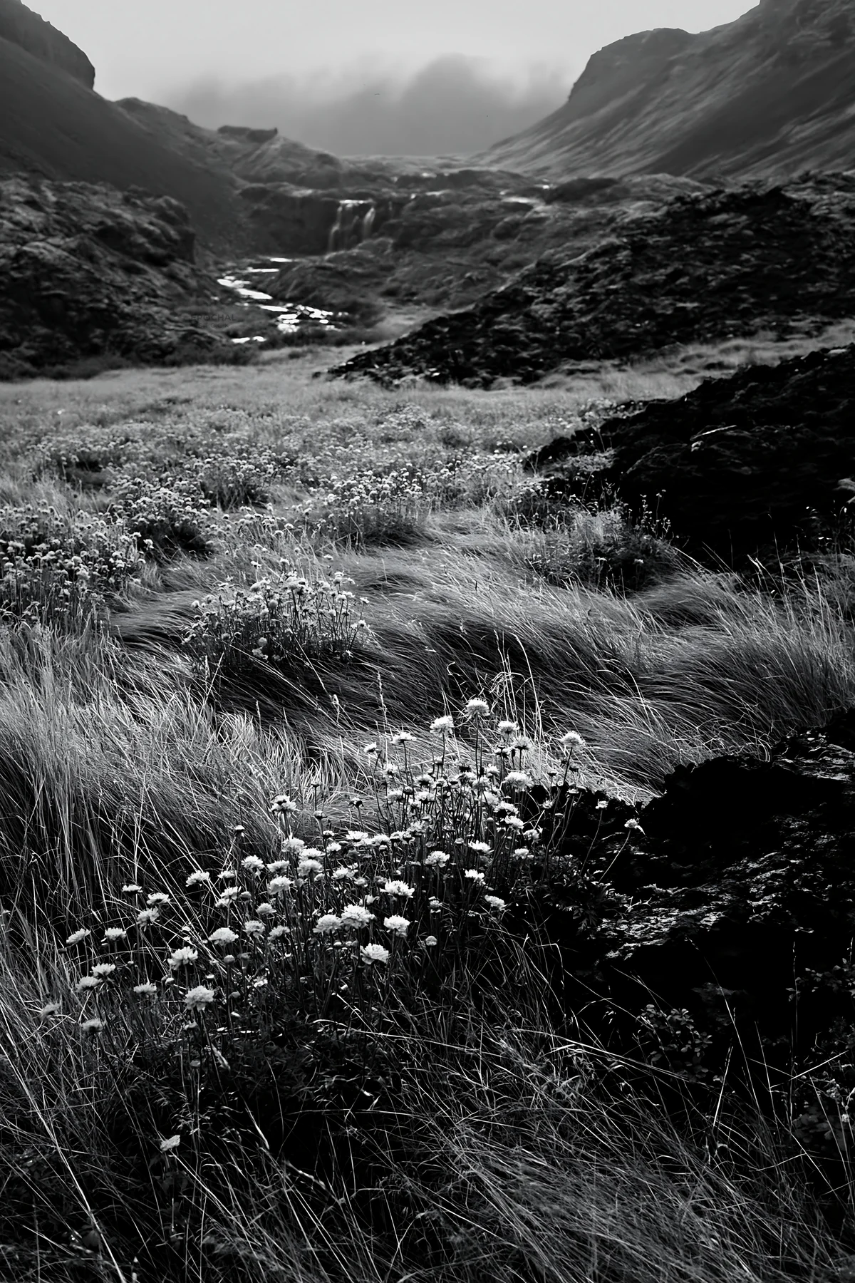 Flowering meadow near mountain falls with flowing water - AI-generated stock image