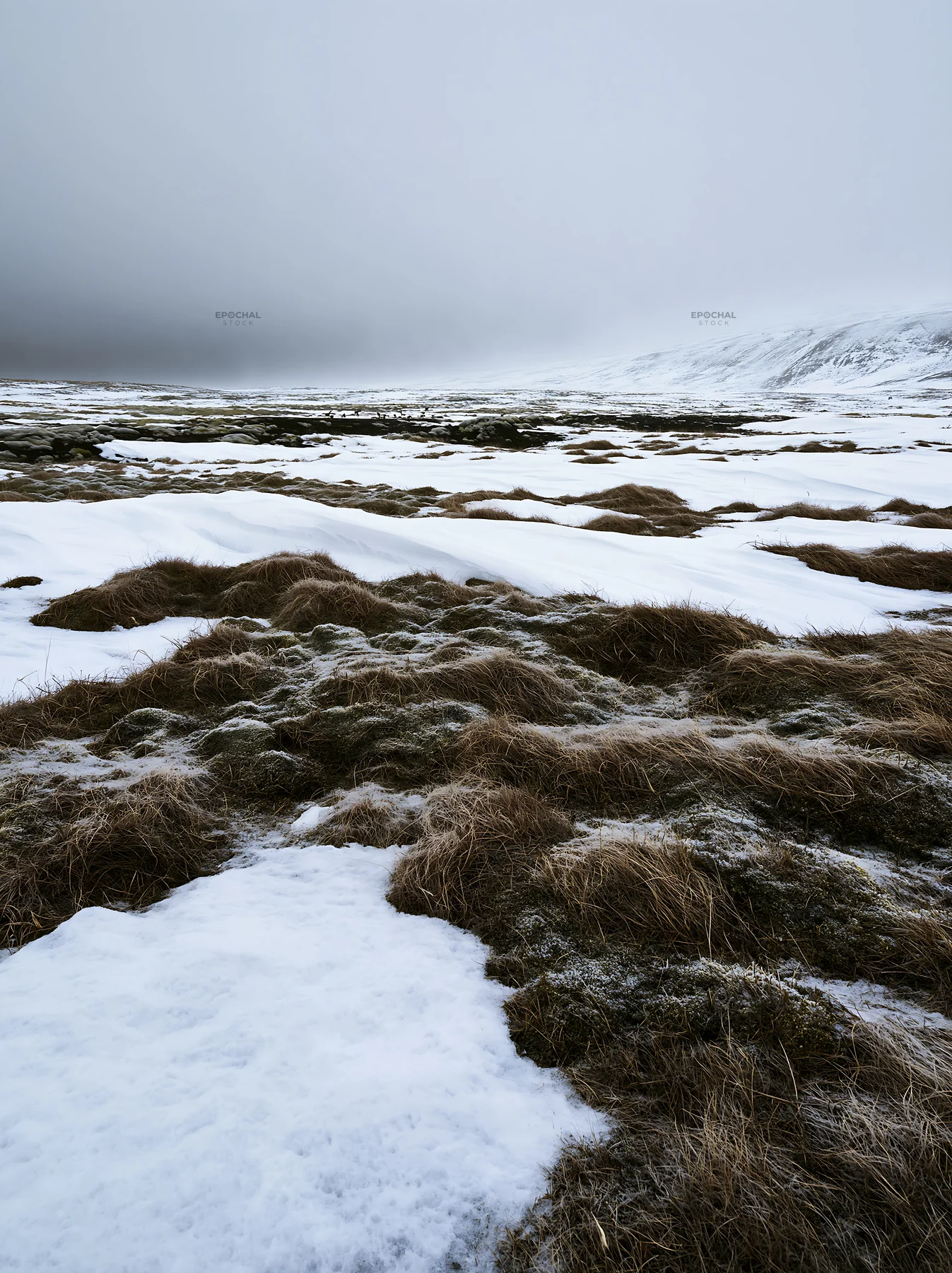 Snowy highland meadow with grass and misty sky - AI-generated stock image