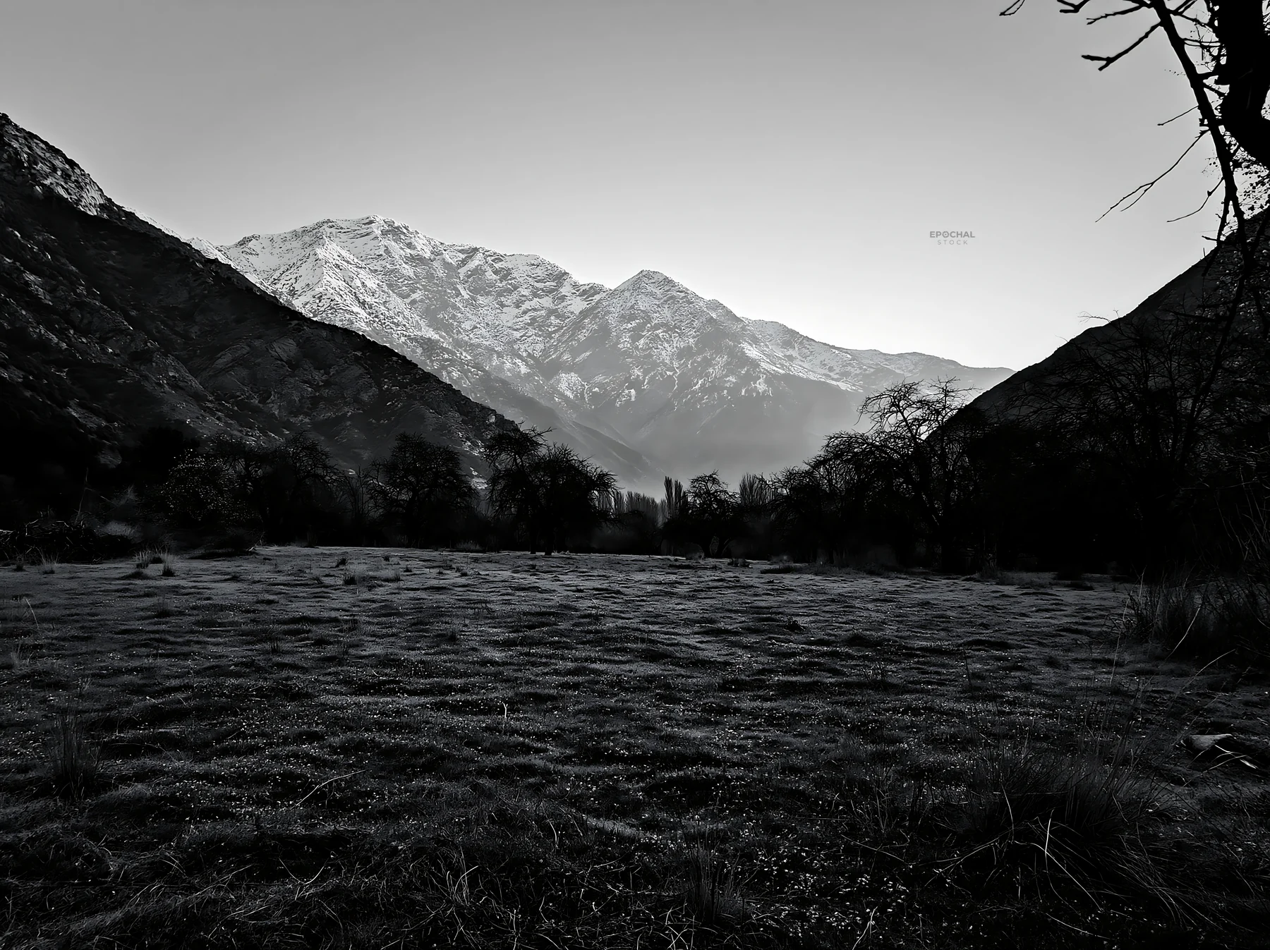 Valley view with apple meadow and mountains in the background - AI-generated stock image