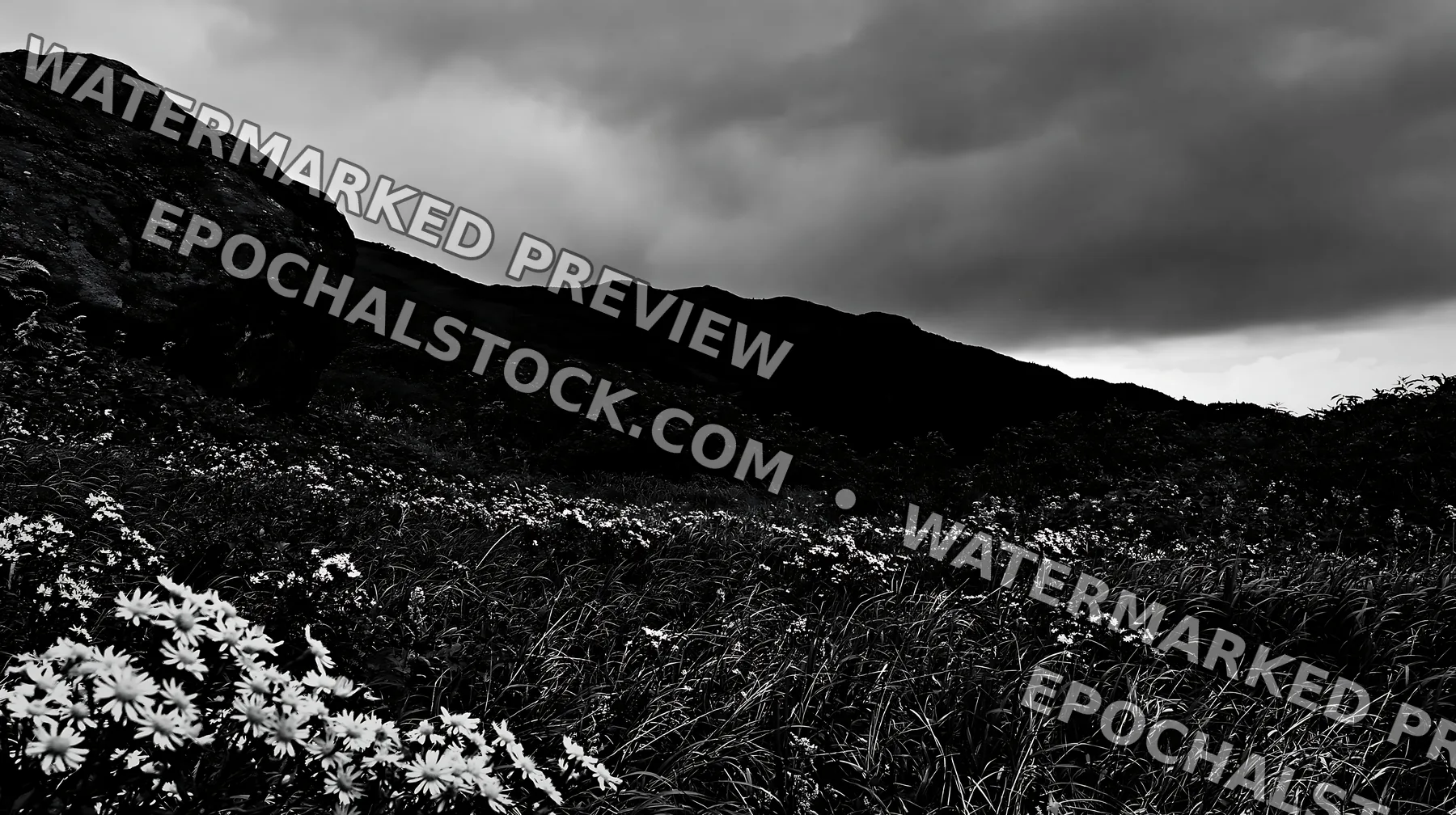 Black and white aomori climate resilient meadow with boulder - AI-generated stock image