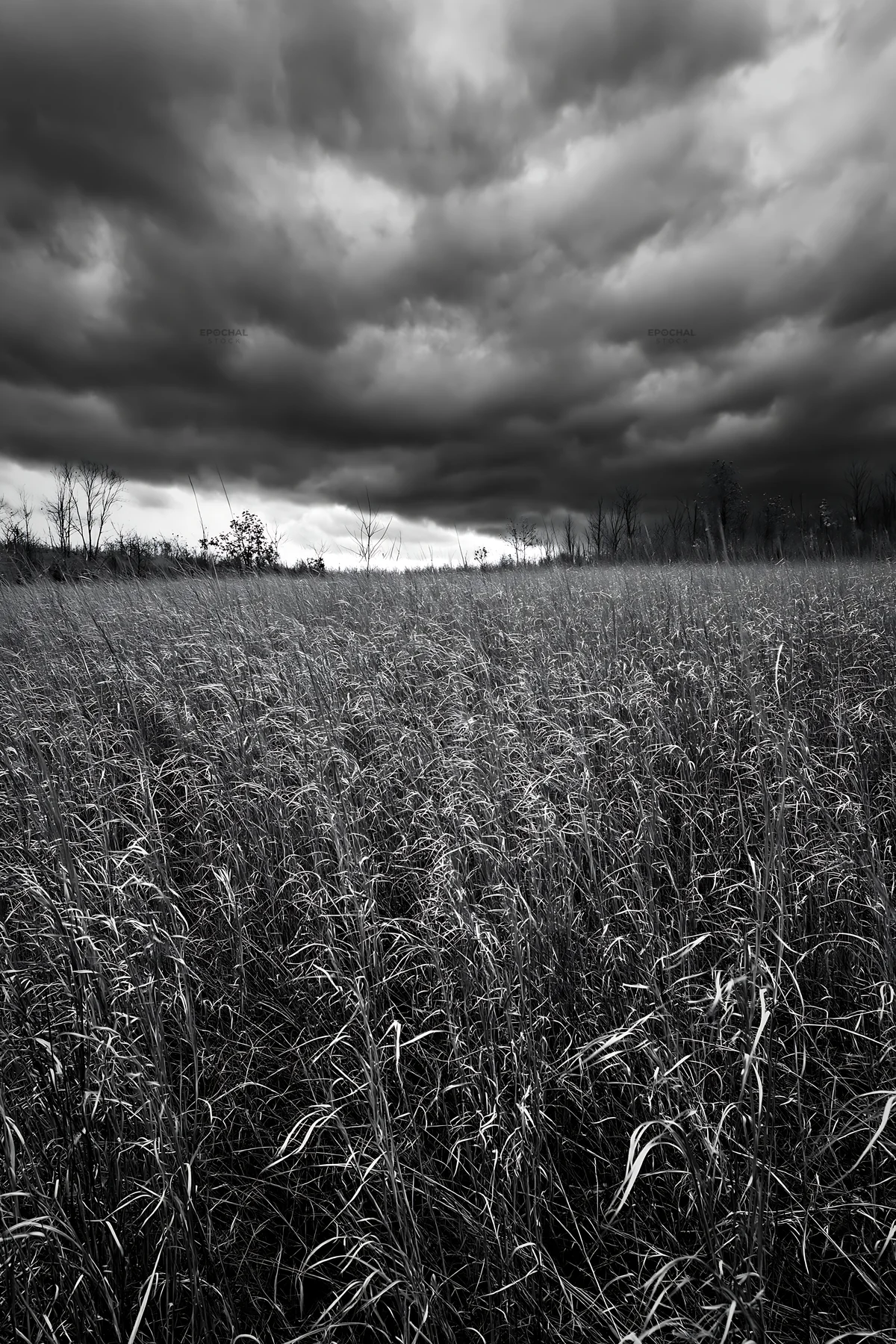 Autumn meadow under dark clouds before a storm - AI-generated stock image