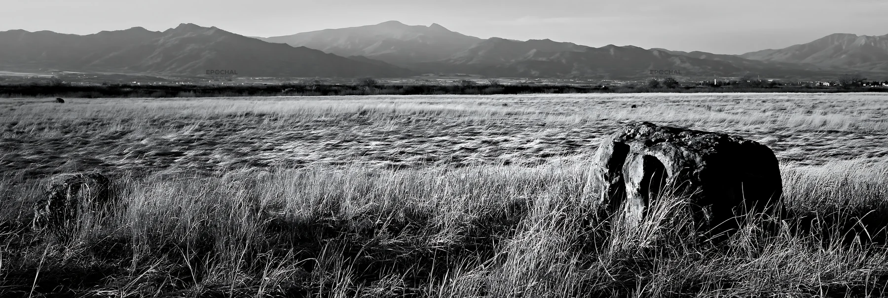 Black and white nagano drought resilient meadow granite boulder - AI-generated stock image