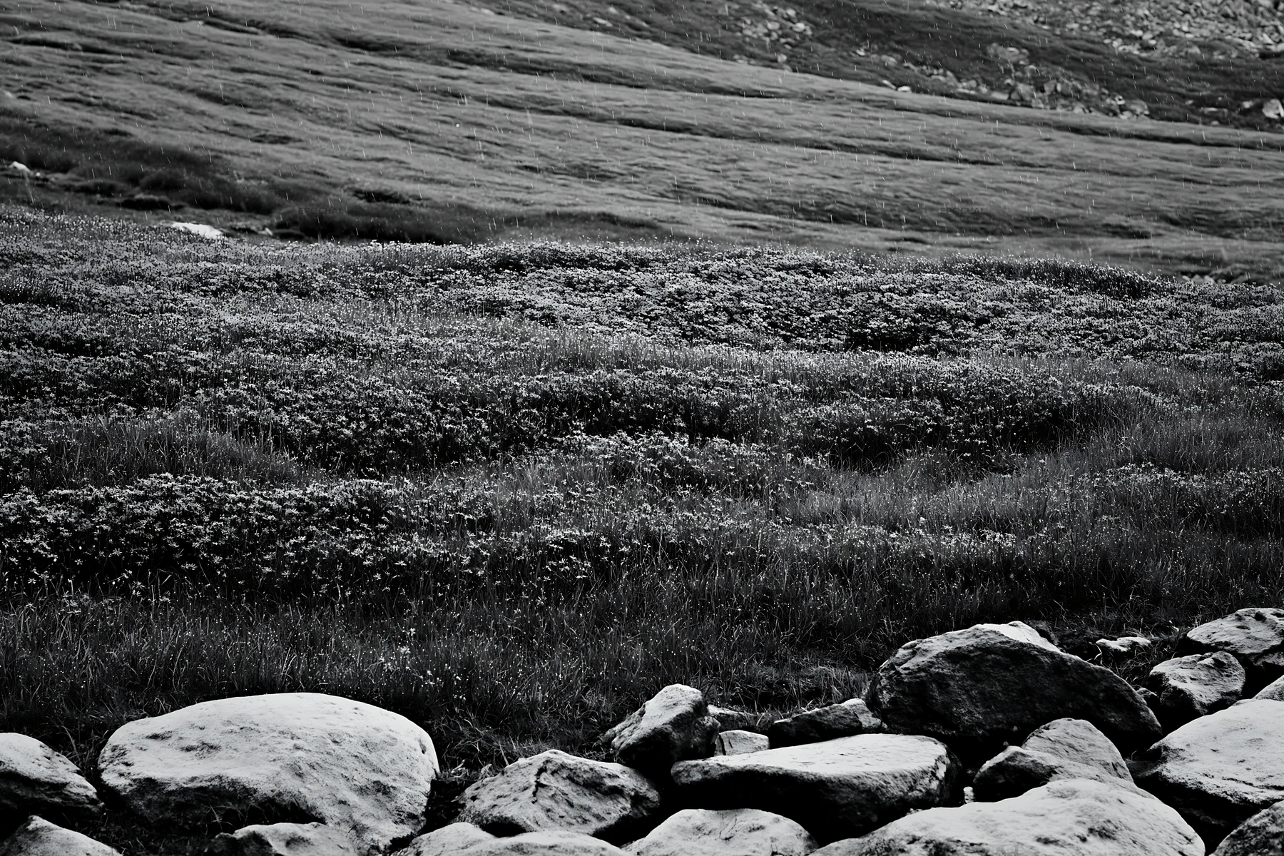 Black and white hiroshima rainy meadow smooth rock foreground - AI-generated stock image