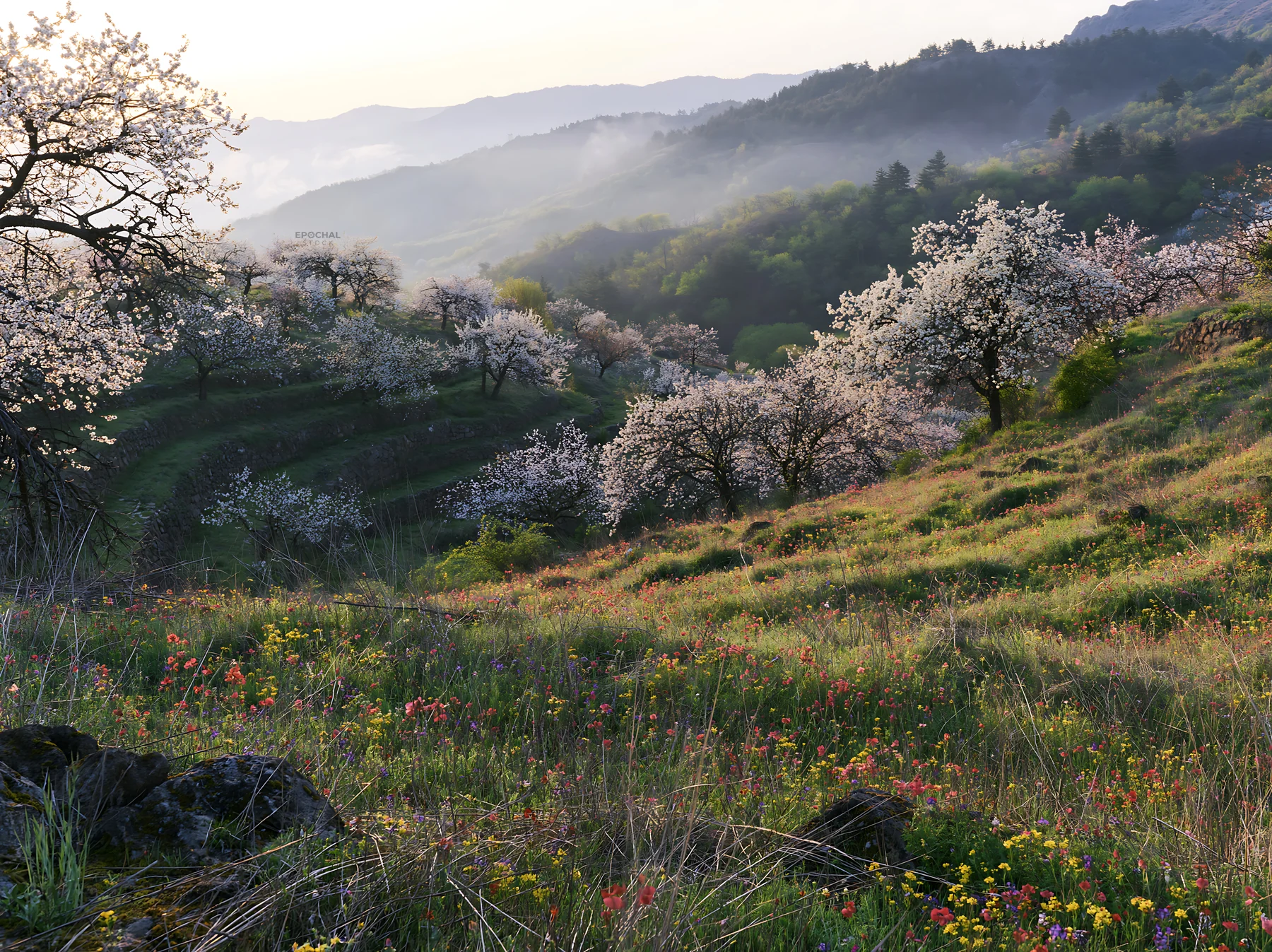 Spring orchard meadow with blooming trees and flowers - AI-generated stock image