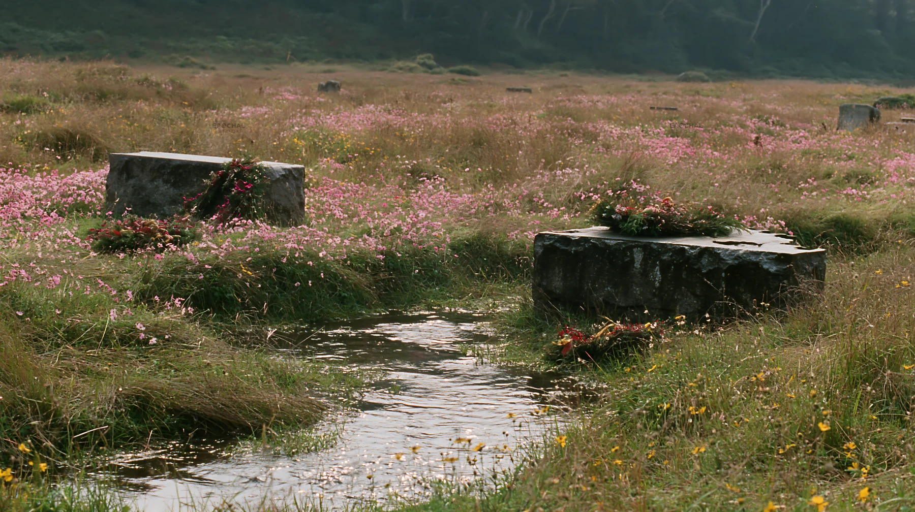 Christmas wreaths beside stream in meadow - AI-generated stock image