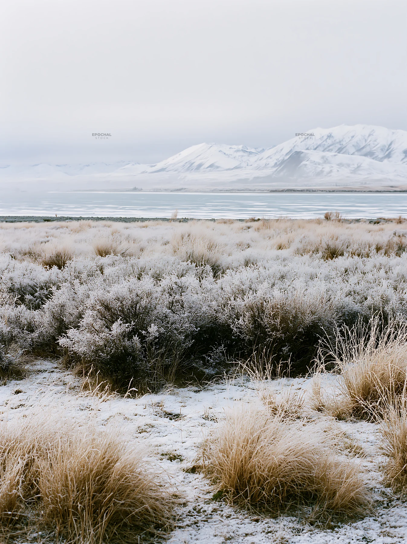 Lake Tekapo meadow snowy alps offer a winter landscape view - AI-generated stock image